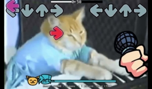  FNF vs Keyboard Cat