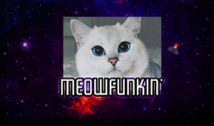  Meow Funkin’
